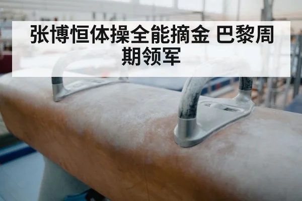 张博恒体操全能摘金 巴黎周期领军